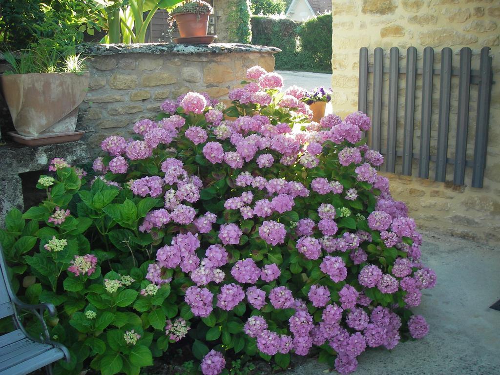 Les 4 Saisons Landhaus